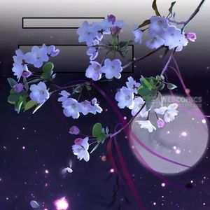 Meet your Posher, Tyisha